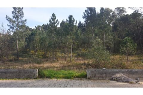 Helårsgrund i Oliveira do Bairro, Aveiro, Oliveira do Bairro - € 60.000 | Ref: AV22/032 - foto 5