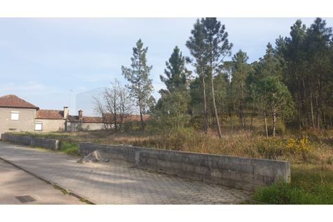 Helårsgrund i Oliveira do Bairro, Aveiro, Oliveira do Bairro - € 60.000 | Ref: AV22/032 - foto 6
