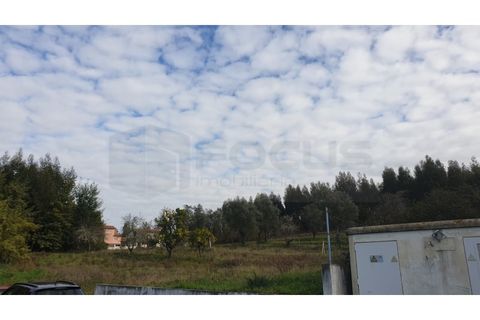 Helårsgrund i Agueda, Aveiro, Agueda - € 150.000 | Ref: AV22/010 - foto 2