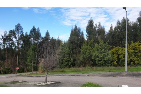 Helårsgrund i Agueda, Aveiro, Agueda - € 150.000 | Ref: AV22/010 - foto 4