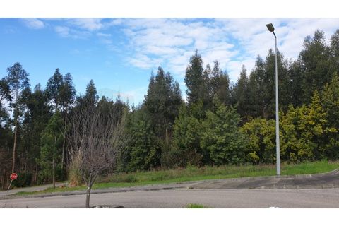 Helårsgrund i Agueda, Aveiro, Agueda - € 150.000 | Ref: AV22/010 - foto 5