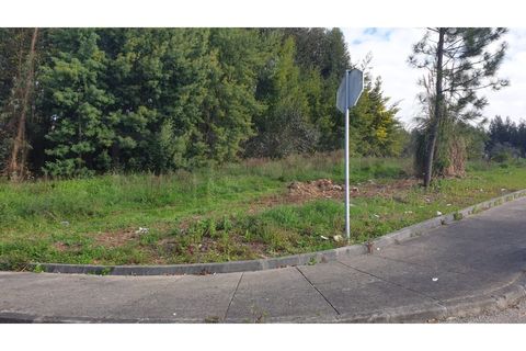Helårsgrund i Agueda, Aveiro, Agueda - € 150.000 | Ref: AV22/010 - foto 6