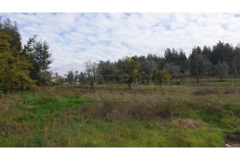 Helårsgrund i Agueda, Aveiro, Agueda - € 150.000 | Ref: AV22/010 - foto 7