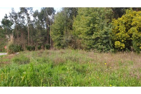 Helårsgrund i Agueda, Aveiro, Agueda - € 150.000 | Ref: AV22/010 - foto 8