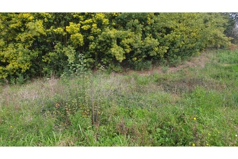 Helårsgrund i Agueda, Aveiro, Agueda - € 150.000 | Ref: AV22/010 - foto 9