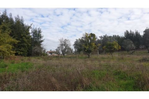 Helårsgrund i Agueda, Aveiro, Agueda - € 150.000 | Ref: AV22/010 - foto 10