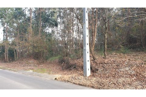 Helårsgrund i Agueda, Aveiro, Agueda - € 150.000 | Ref: AV22/010 - foto 11