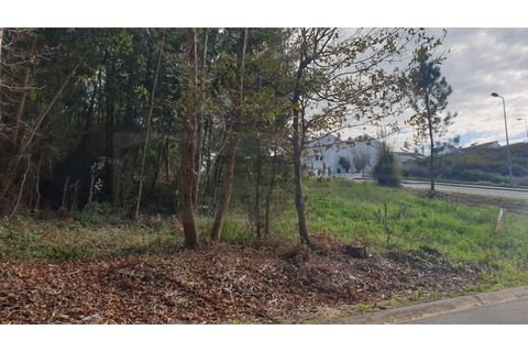 Helårsgrund i Agueda, Aveiro, Agueda - € 150.000 | Ref: AV22/010 - foto 12