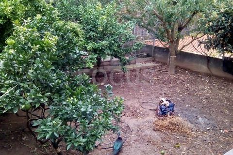 Villa i Sever do Vouga, Aveiro, Sever do Vouga - € 350.000 | Ref: 10570 - foto 48