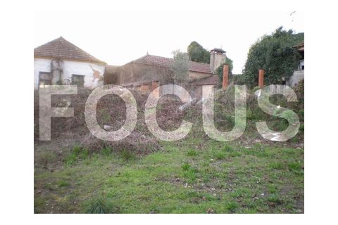Helårsgrund i Alquerubim, Aveiro, Alquerubim - € 135.000 | Ref: 7927 - foto 3