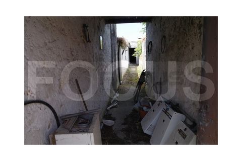 Byhus i Vagos, Aveiro, Vagos - € 85.000 | Ref: 7570 - foto 2