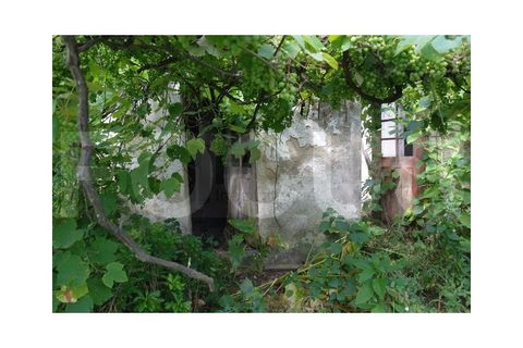 Byhus i Vagos, Aveiro, Vagos - € 85.000 | Ref: 7570 - foto 8