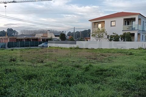 Helårsgrund i Sosa, Aveiro, Sosa - € 55.000 | Ref: 7052/01 - foto 11