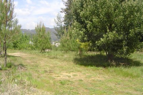 Helårsgrund i Sever do Vouga, Aveiro, Sever do Vouga - € 200.000 | Ref: 7157 - foto 3