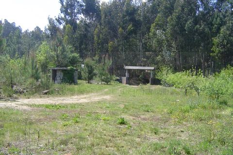 Helårsgrund i Sever do Vouga, Aveiro, Sever do Vouga - € 200.000 | Ref: 7157 - foto 4