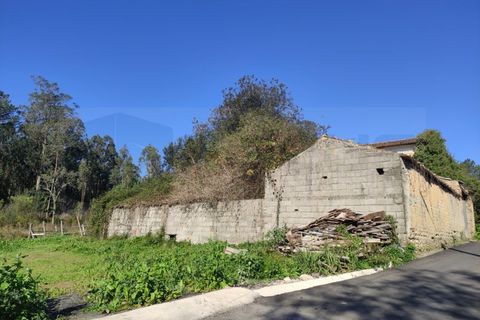 Farm i Alquerubim, Aveiro, Alquerubim - € 160.000 | Ref: 4442 - foto 2