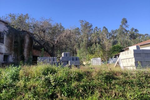 Farm i Alquerubim, Aveiro, Alquerubim - € 160.000 | Ref: 4442 - foto 3