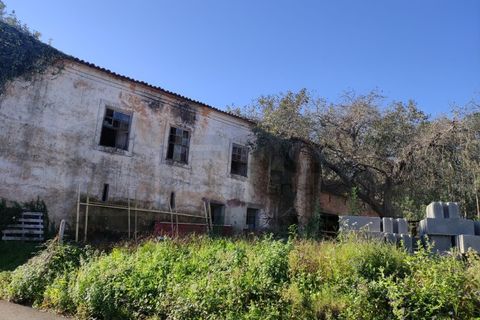 Farm i Alquerubim, Aveiro, Alquerubim - € 160.000 | Ref: 4442 - foto 4