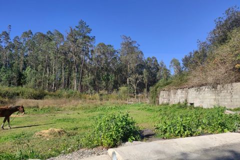 Farm i Alquerubim, Aveiro, Alquerubim - € 160.000 | Ref: 4442 - foto 5