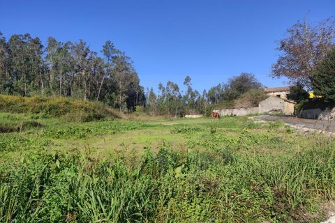 Farm i Alquerubim, Aveiro, Alquerubim - € 160.000 | Ref: 4442 - foto 6