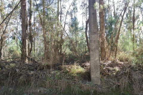 Farm i Alquerubim, Aveiro, Alquerubim - € 160.000 | Ref: 4442 - foto 8