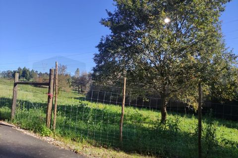 Farm i Alquerubim, Aveiro, Alquerubim - € 160.000 | Ref: 4442 - foto 10