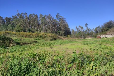 Farm i Alquerubim, Aveiro, Alquerubim - € 160.000 | Ref: 4442 - foto 13