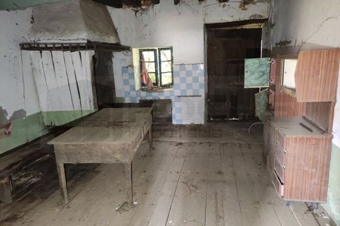 Farm i Alquerubim, Aveiro, Alquerubim - € 160.000 | Ref: 4442 - foto 14