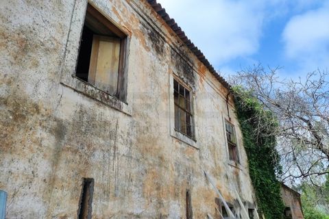 Farm i Alquerubim, Aveiro, Alquerubim - € 160.000 | Ref: 4442 - foto 15