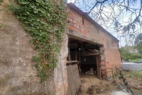 Farm i Alquerubim, Aveiro, Alquerubim - € 160.000 | Ref: 4442 - foto 27