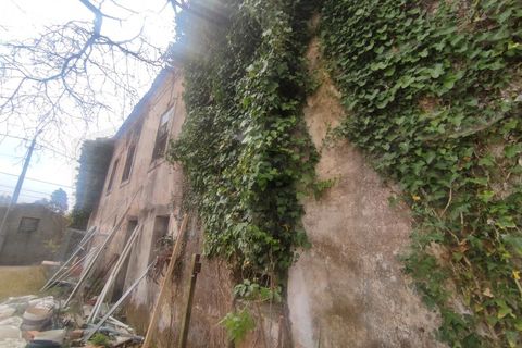 Farm i Alquerubim, Aveiro, Alquerubim - € 160.000 | Ref: 4442 - foto 28