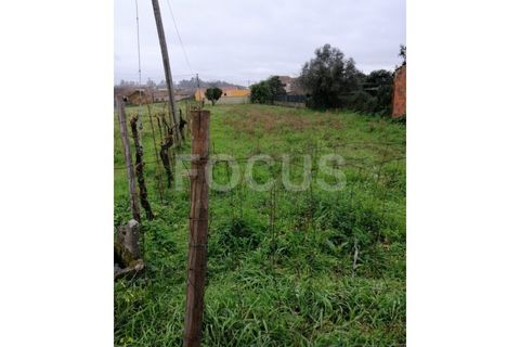 Helårsgrund i Agueda, Aveiro, Agueda - € 40.000 | Ref: 5806 - foto 2