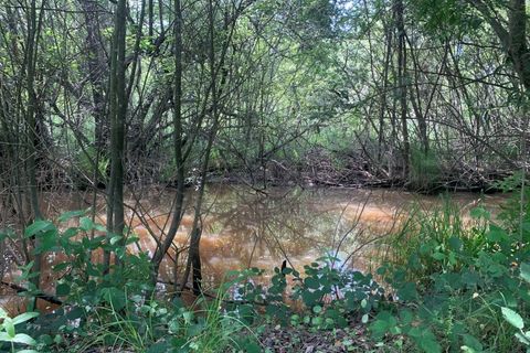 Helårsgrund i Eixo e Eirol, Aveiro, Eixo e Eirol - € 100.000 | Ref: 3463 - foto 5