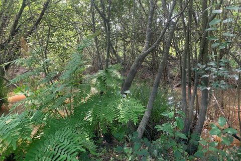 Helårsgrund i Eixo e Eirol, Aveiro, Eixo e Eirol - € 100.000 | Ref: 3463 - foto 6
