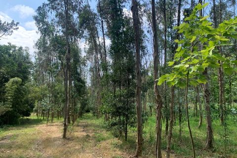 Helårsgrund i Eixo e Eirol, Aveiro, Eixo e Eirol - € 100.000 | Ref: 3463 - foto 7