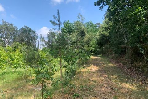 Helårsgrund i Eixo e Eirol, Aveiro, Eixo e Eirol - € 100.000 | Ref: 3463 - foto 10