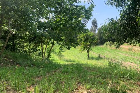 Helårsgrund i Eixo e Eirol, Aveiro, Eixo e Eirol - € 100.000 | Ref: 3463 - foto 11