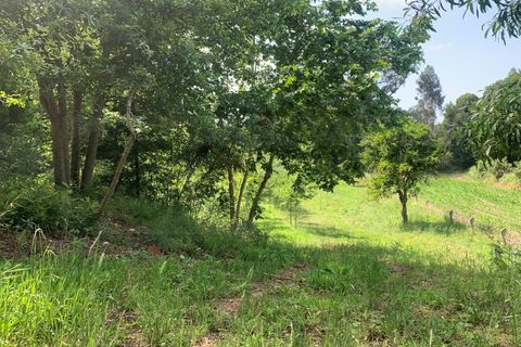Helårsgrund i Eixo e Eirol, Aveiro, Eixo e Eirol - € 100.000 | Ref: 3463 - foto 12