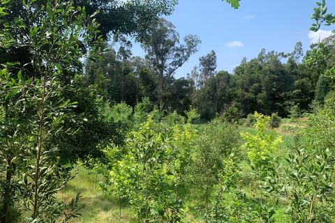 Helårsgrund i Eixo e Eirol, Aveiro, Eixo e Eirol - € 100.000 | Ref: 3463 - foto 14