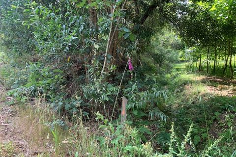 Helårsgrund i Eixo e Eirol, Aveiro, Eixo e Eirol - € 100.000 | Ref: 3463 - foto 17