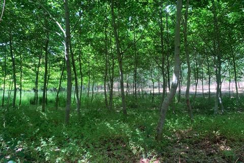 Helårsgrund i Eixo e Eirol, Aveiro, Eixo e Eirol - € 100.000 | Ref: 3463 - foto 19