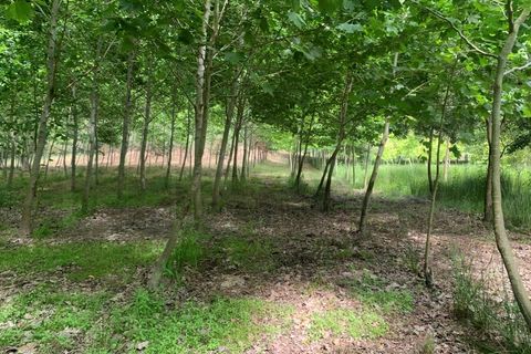 Helårsgrund i Eixo e Eirol, Aveiro, Eixo e Eirol - € 100.000 | Ref: 3463 - foto 21