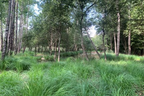 Helårsgrund i Eixo e Eirol, Aveiro, Eixo e Eirol - € 100.000 | Ref: 3463 - foto 22