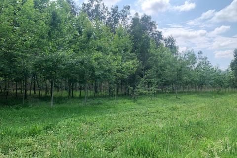 Helårsgrund i Eixo e Eirol, Aveiro, Eixo e Eirol - € 100.000 | Ref: 3463 - foto 26