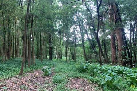 Helårsgrund i Eixo e Eirol, Aveiro, Eixo e Eirol - € 100.000 | Ref: 3463 - foto 27