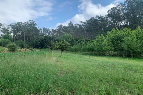 Helårsgrund i Eixo e Eirol, Aveiro, Eixo e Eirol - € 100.000 | Ref: 3463 - foto 29