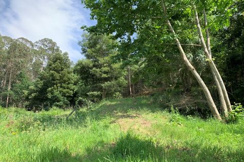 Helårsgrund i Eixo e Eirol, Aveiro, Eixo e Eirol - € 100.000 | Ref: 3463 - foto 31