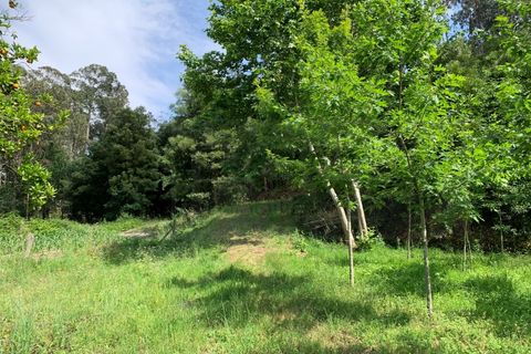 Helårsgrund i Eixo e Eirol, Aveiro, Eixo e Eirol - € 100.000 | Ref: 3463 - foto 32