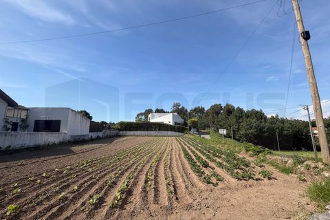 Helårsgrund i Aveiro, Aveiro, Aveiro - € 87.500 | Ref: 183 - foto 2