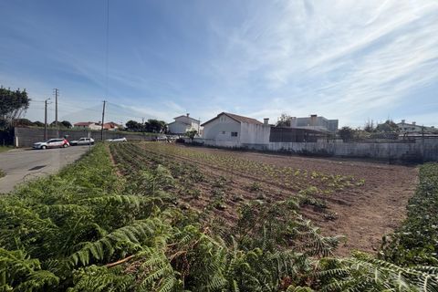 Helårsgrund i Aveiro, Aveiro, Aveiro - € 87.500 | Ref: 183 - foto 4